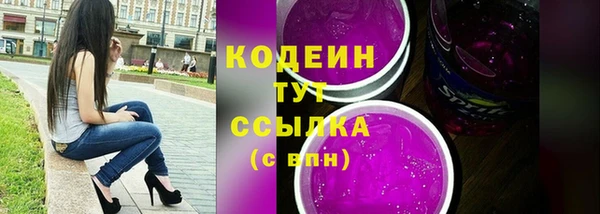 индика Зеленодольск