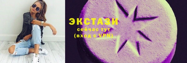 индика Зеленодольск