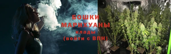 индика Зеленодольск
