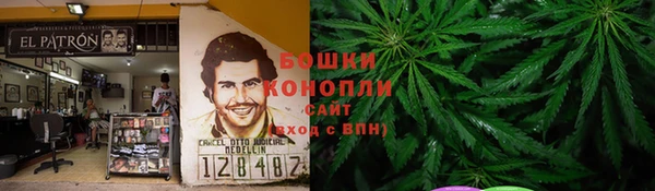 индика Зеленодольск