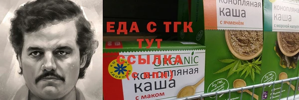 индика Зеленодольск