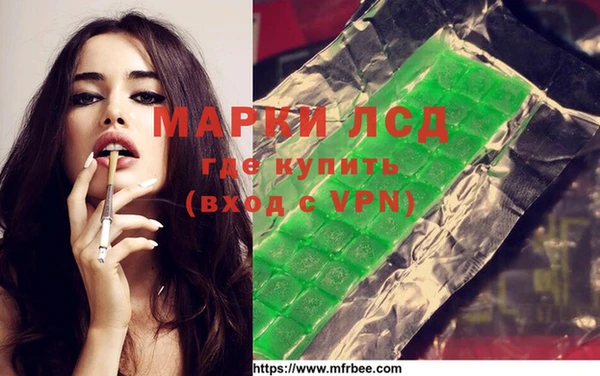 индика Зеленодольск