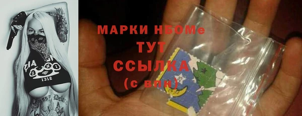 индика Зеленодольск
