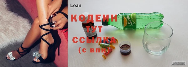 индика Зеленодольск