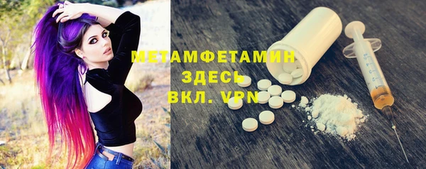 индика Зеленодольск