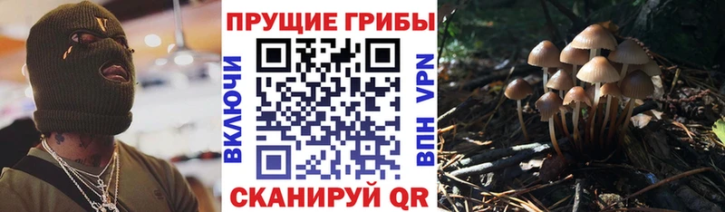 Галлюциногенные грибы ЛСД  Купить где  Оха 